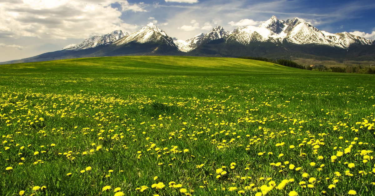 Slovakien